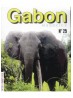 Gabon Magazine 01/02/2015