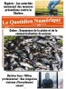 QUOTIDIEN NUMERIQUE D AFRIQUE
 31/07/2019