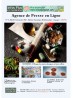 Infos Plus Gabon 15/12/2020